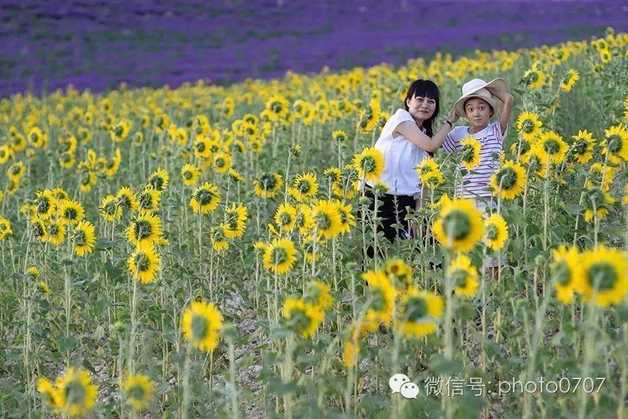 法国&西班牙之夏