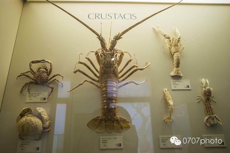 冬日暖阳西班牙（3）——塔拉戈纳、佩尼斯科拉