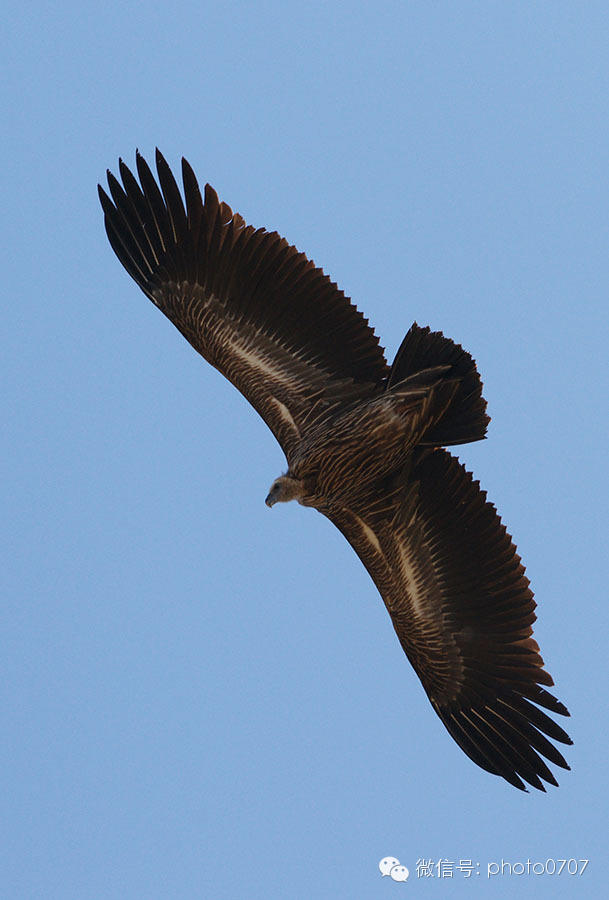 云上的日子——尼泊尔行摄(7):那嘎库特(NAGARKOT) 云上的日子——尼泊尔行摄(7):那嘎库特(NAGARKOT)
