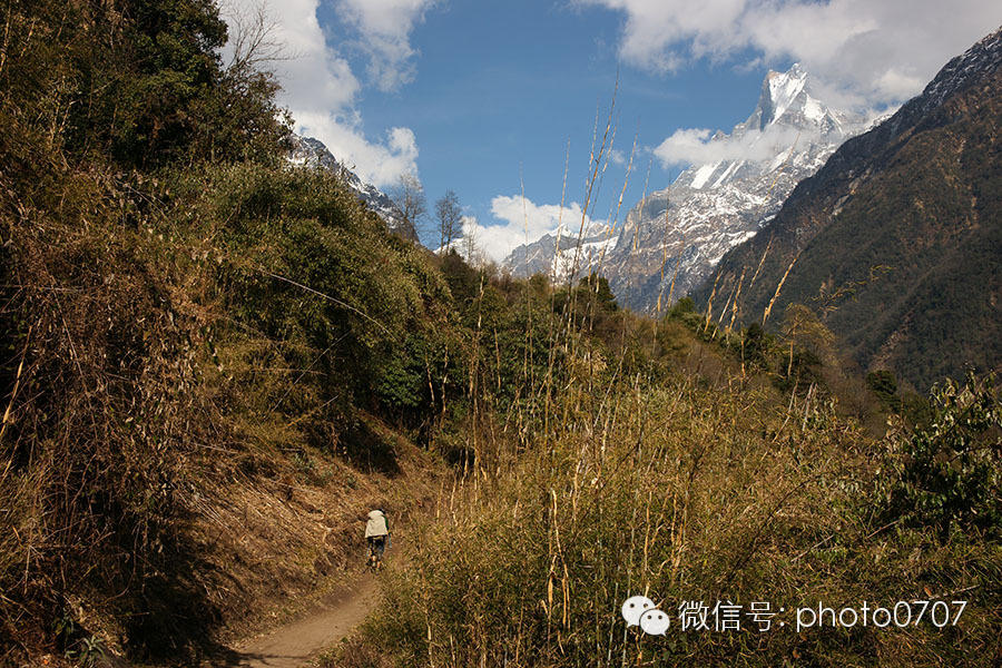 云上的日子——尼泊尔行摄（4）：安纳普尔纳徒步Chomrong-ABC