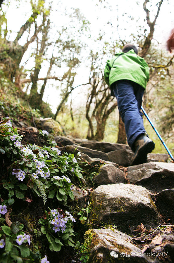 云上的日子——尼泊尔行摄（4）：安纳普尔纳徒步Chomrong-ABC