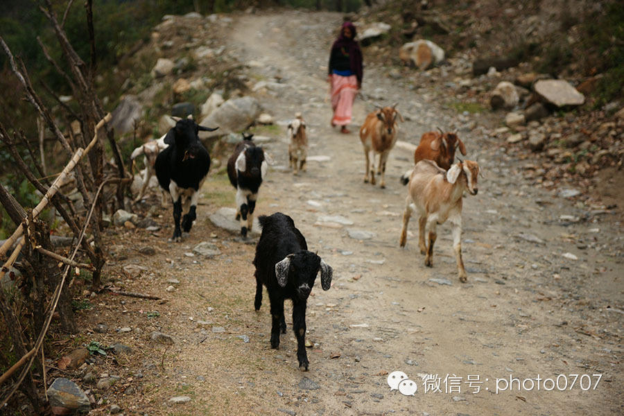 云上的日子——尼泊尔行摄（2）：安纳普尔纳徒步Nayapul-Ghorepani