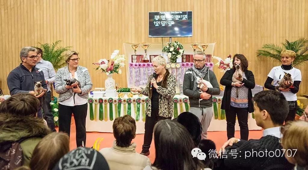 PARIS ANIMAL SHOW