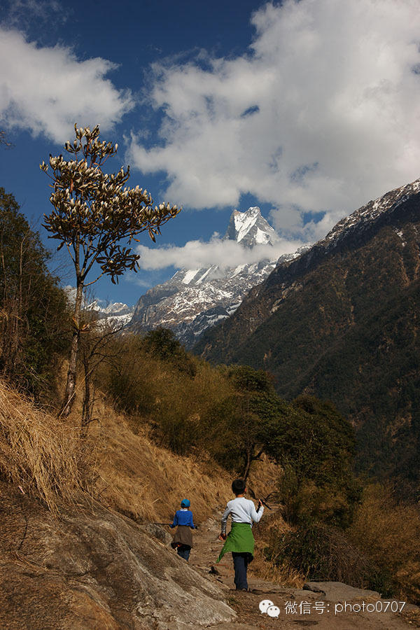 云上的日子——尼泊尔行摄（4）：安纳普尔纳徒步Chomrong-ABC