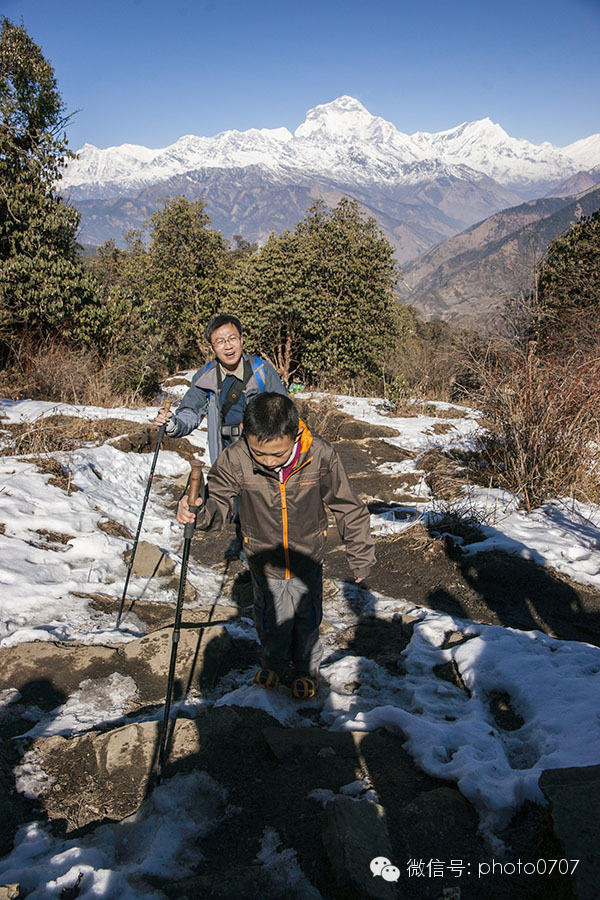 云上的日子——尼泊尔行摄（3）：安纳普尔纳徒步Ghorepani-Chomrong
