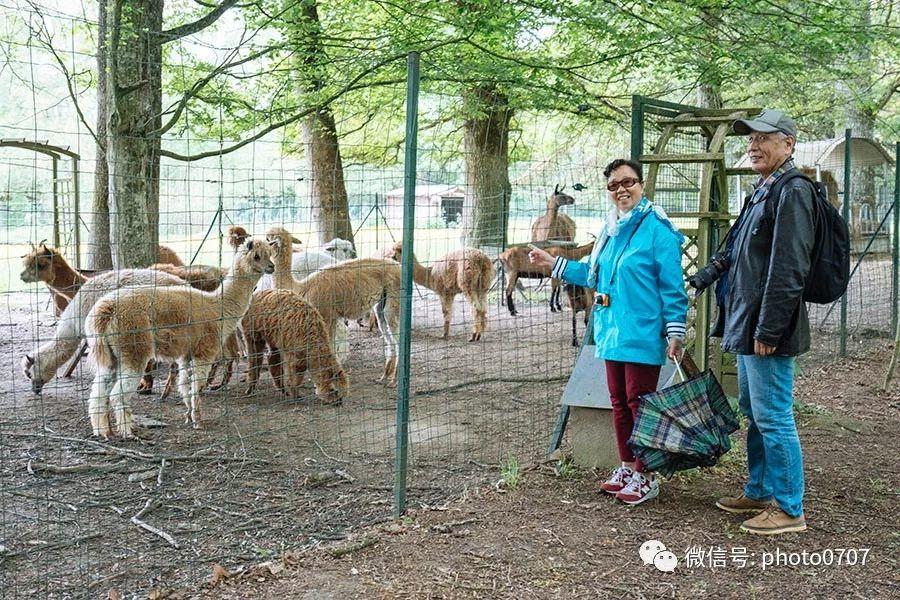 春日西欧游 之二（德国中部 瑞士 法国勃艮第 卢瓦尔河谷）