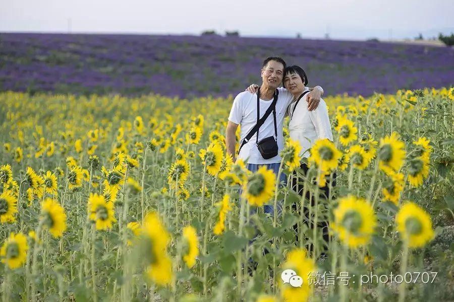 法国&西班牙之夏