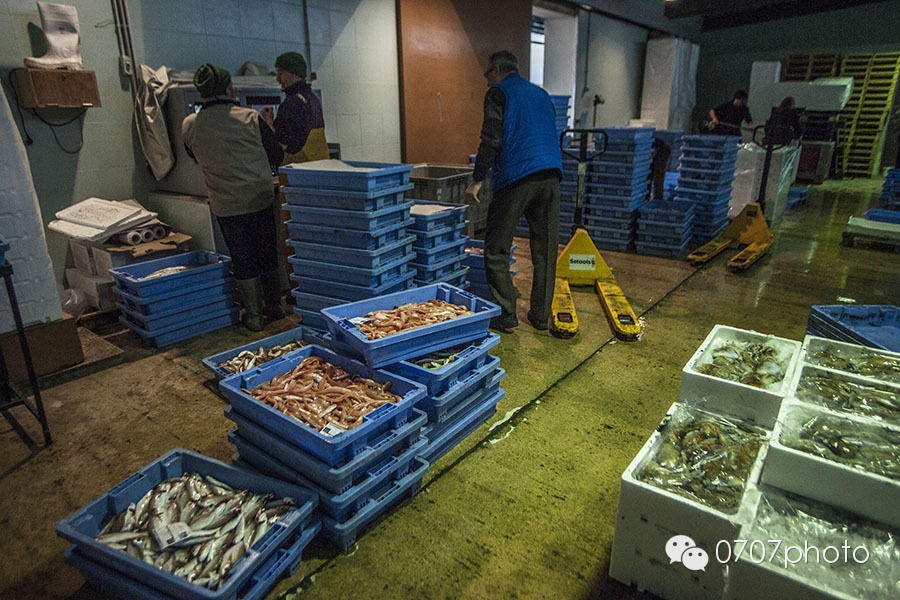 冬日暖阳西班牙（3）——塔拉戈纳、佩尼斯科拉