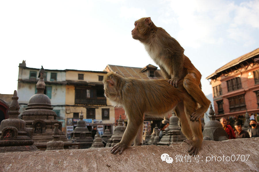 云上的日子——尼泊尔行摄（1）：加德满都、帕坦