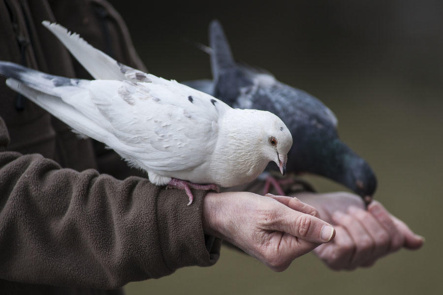 法兰西旅行摄影——浪漫巴黎(四) 法兰西旅行摄影——浪漫巴黎(四)