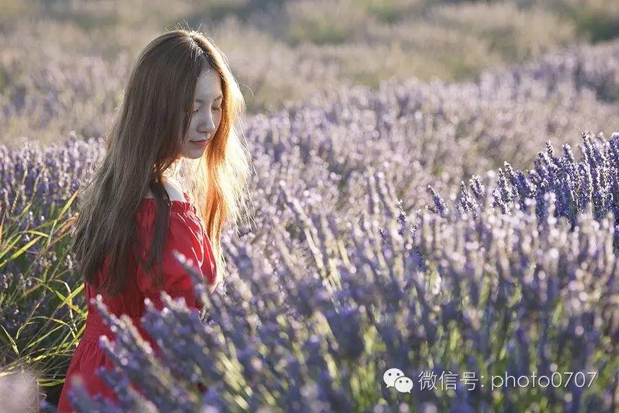 那城 那花 那湖 那海……