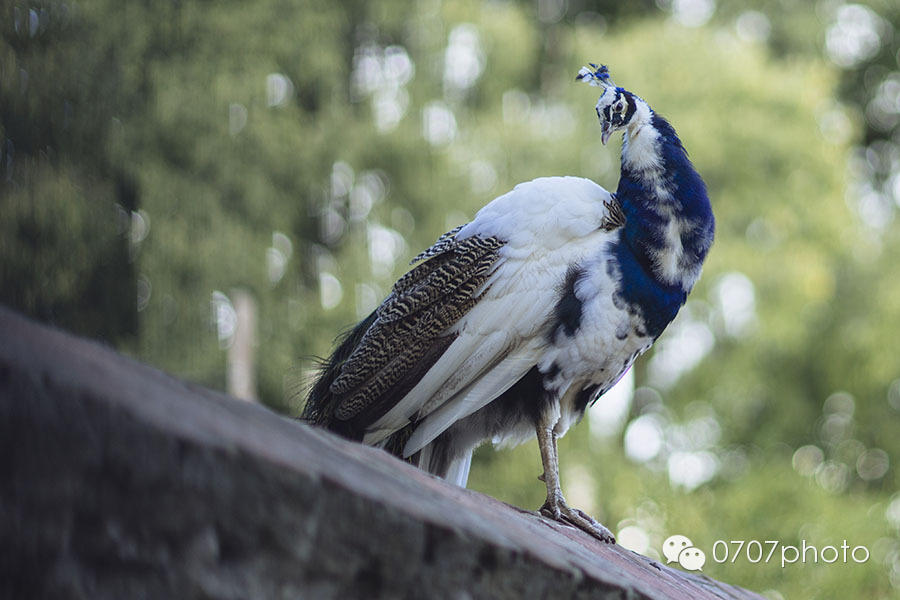 秋日晴雨葡萄牙（一）：里斯本
