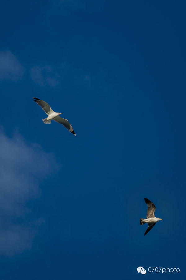 冬日暖阳西班牙（4）——巴伦西亚