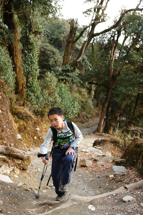 云上的日子——尼泊尔行摄（2）：安纳普尔纳徒步Nayapul-Ghorepani