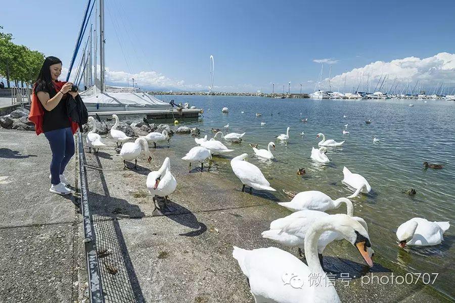 那城 那花 那湖 那海……