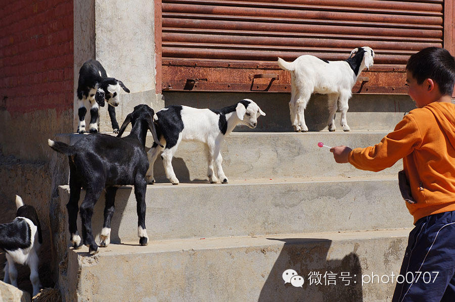 云上的日子——尼泊尔行摄(7):那嘎库特(NAGARKOT) 云上的日子——尼泊尔行摄(7):那嘎库特(NAGARKOT)