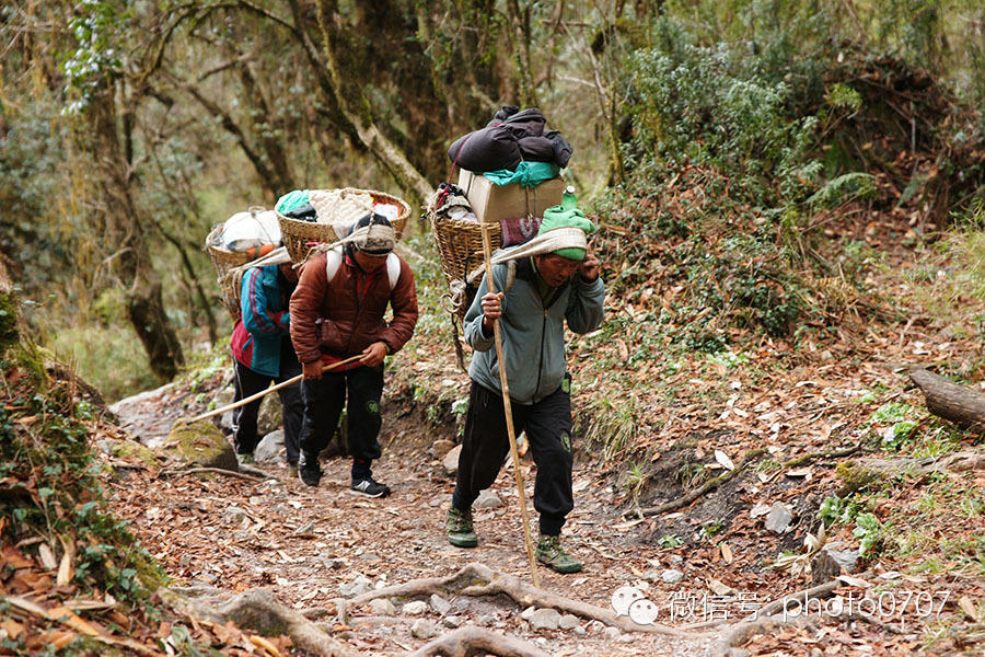 云上的日子——尼泊尔行摄（4）：安纳普尔纳徒步Chomrong-ABC