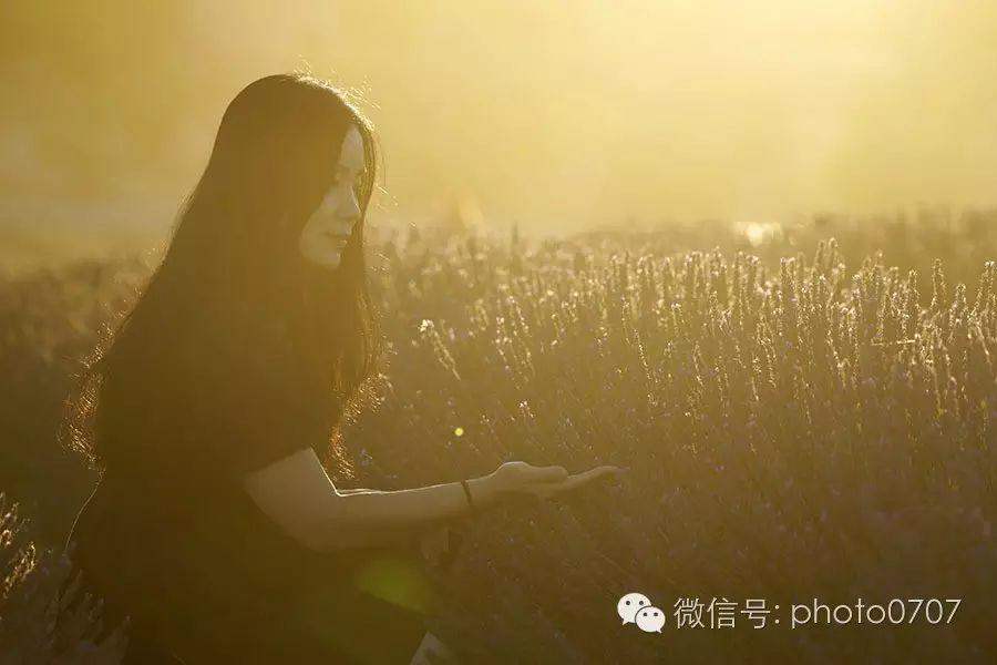 那城 那花 那湖 那海……