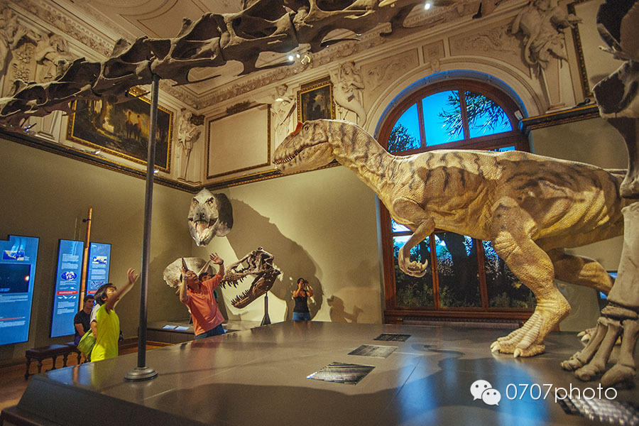 2014暑期中欧环线旅行摄影（五）：维也纳艺术之旅