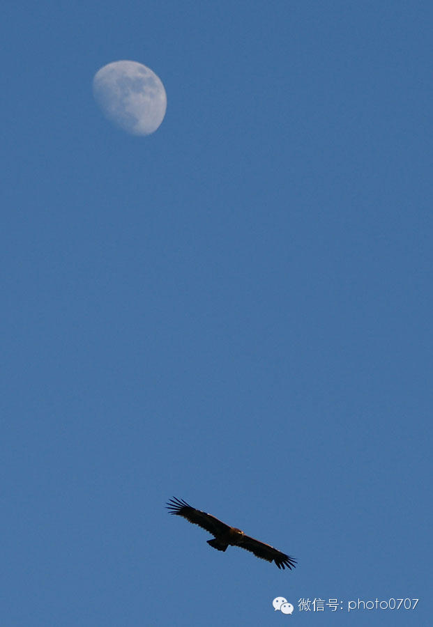 云上的日子——尼泊尔行摄(7):那嘎库特(NAGARKOT) 云上的日子——尼泊尔行摄(7):那嘎库特(NAGARKOT)