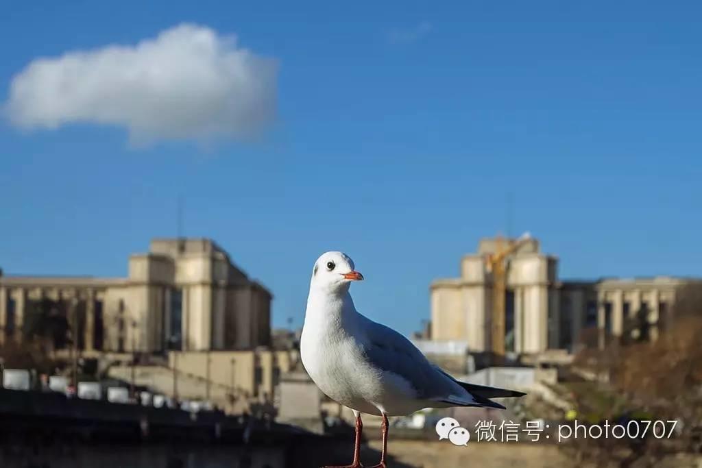 大年初一 中国元素