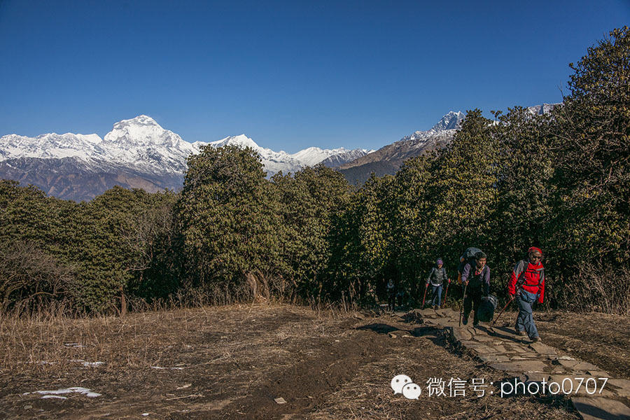 云上的日子——尼泊尔行摄（3）：安纳普尔纳徒步Ghorepani-Chomrong