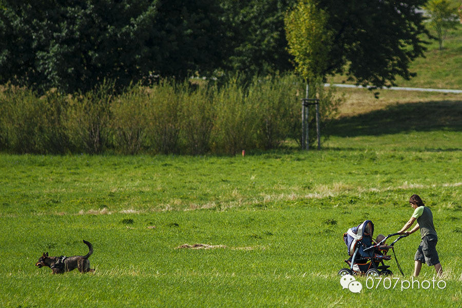 2014暑期中欧环线旅行摄影（二）：德国德累斯顿