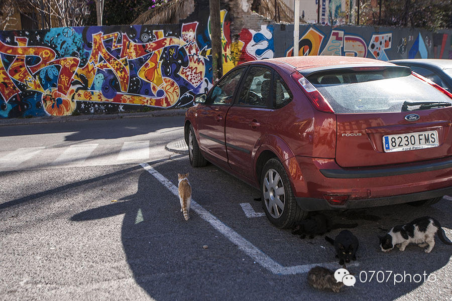冬日暖阳西班牙（4）——巴伦西亚