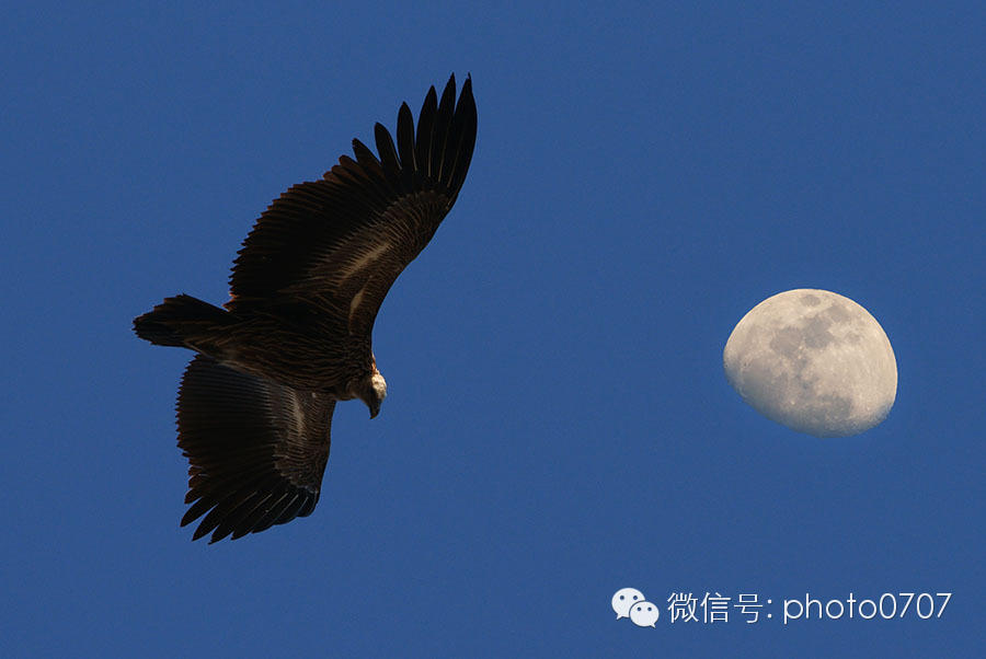 云上的日子——尼泊尔行摄(7):那嘎库特(NAGARKOT) 云上的日子——尼泊尔行摄(7):那嘎库特(NAGARKOT)